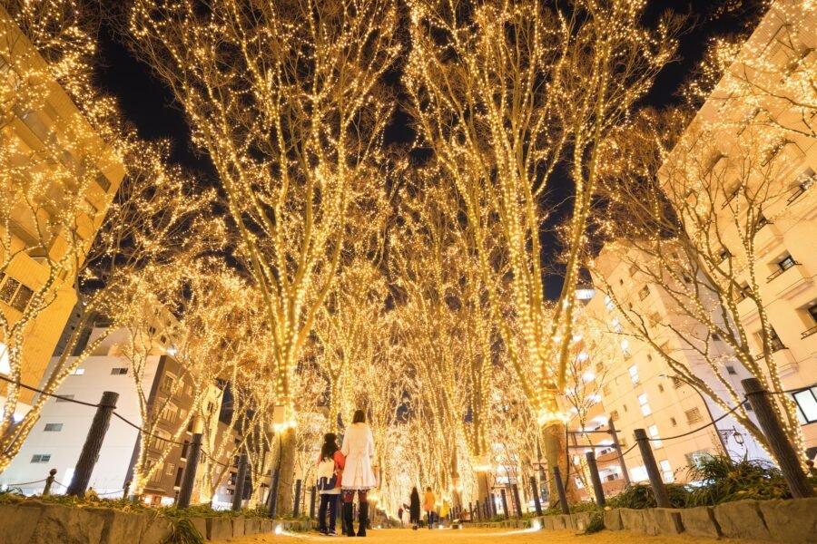 🏞️ 미즈코 조개무덤 공원(미즈코카이즈카코엔) 이미지 9